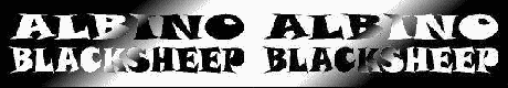[Old Logo]