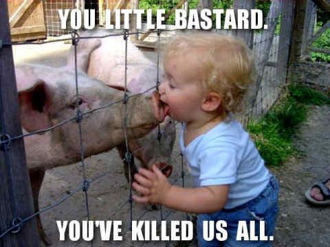 You actually get Swine Flu from kissing a Mexican, but saying that is so racist, that you'll only ever find that out as hover text. Swine Flu Kiss